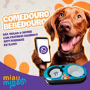 Bebedouro E Comedouro Para Cães E Gatos